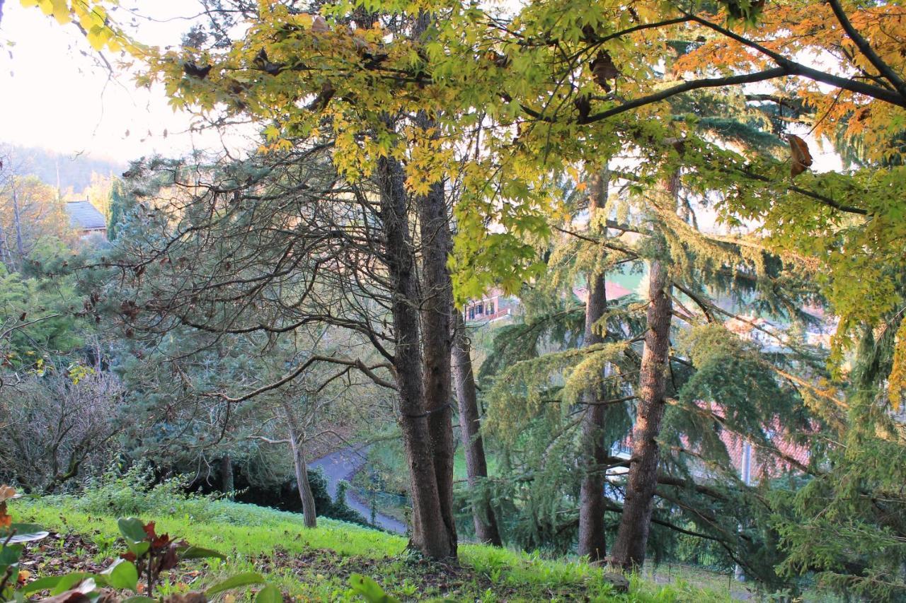 La Casa Di Neh Villa Rivalba Екстериор снимка